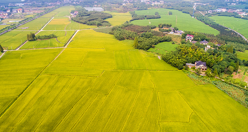 Il ruolo dell'argano manuale a fune metallica in agricoltura